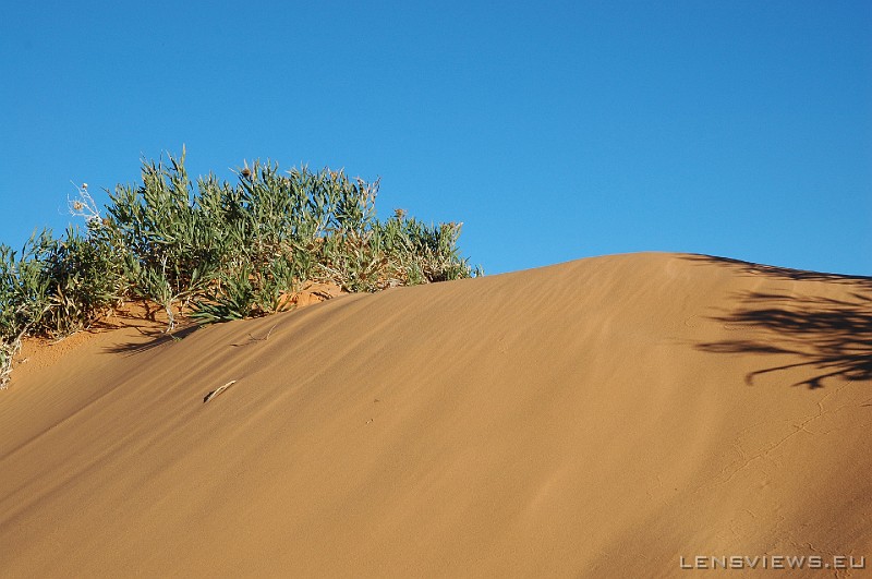 Coral Sand Dunes 04 